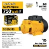 PERİFERİK SU POMPASI 750 WATT 1.0 HP